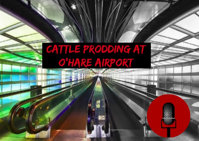 SucksRadio: :Cattle Prodding at O’hare Airport|Frisking, Searching and Mugging in Chicago
